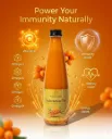 Seabuckthorn Pulp